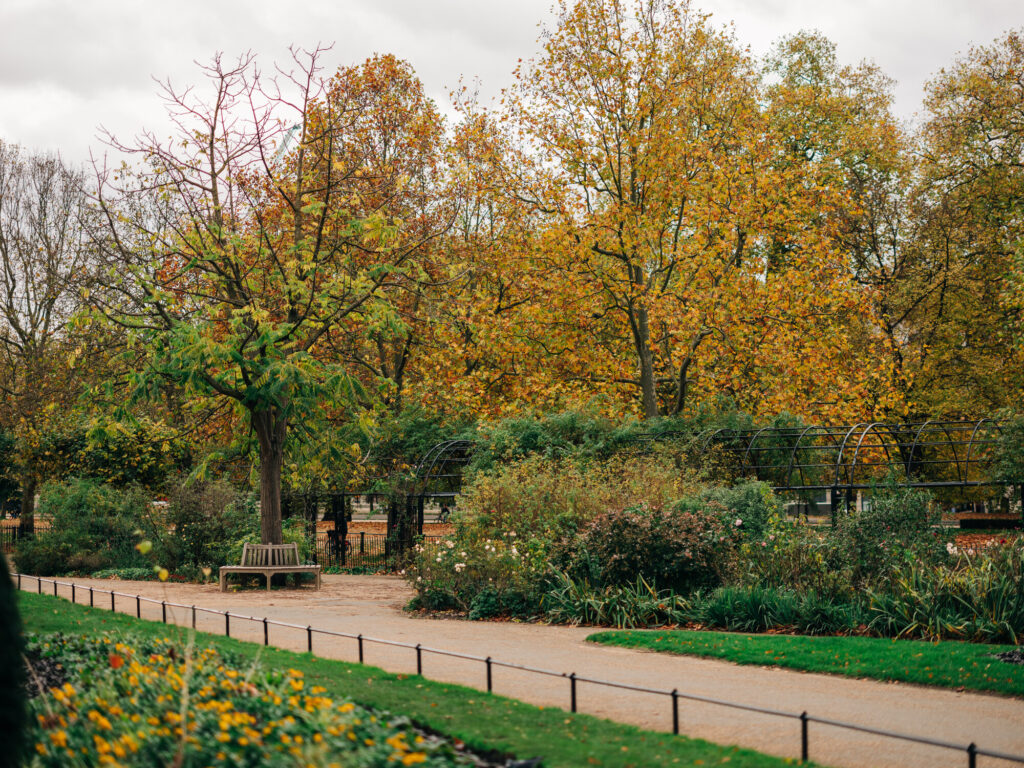 Hyde Park automne